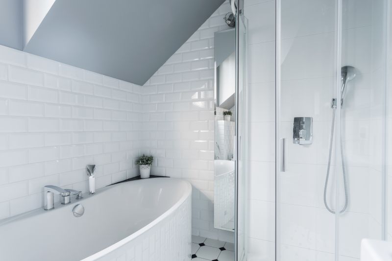 Professional Bathroom Renovation